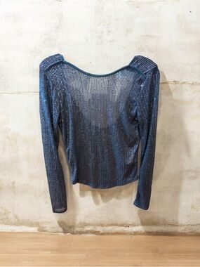 Free People Iridescent Blue Long-Sleeve Mesh Top
